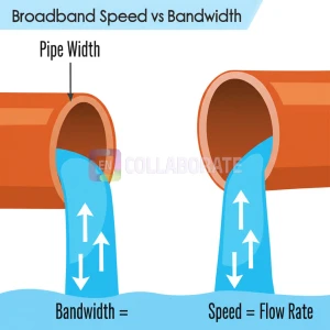 Infographic 3
